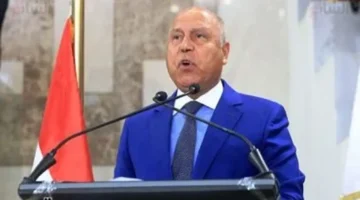 بدء التشغيل التجريبي لمحطة هاتشيسون بميناء السخنة يعزز حركة التجارة البحرية في مصر 1